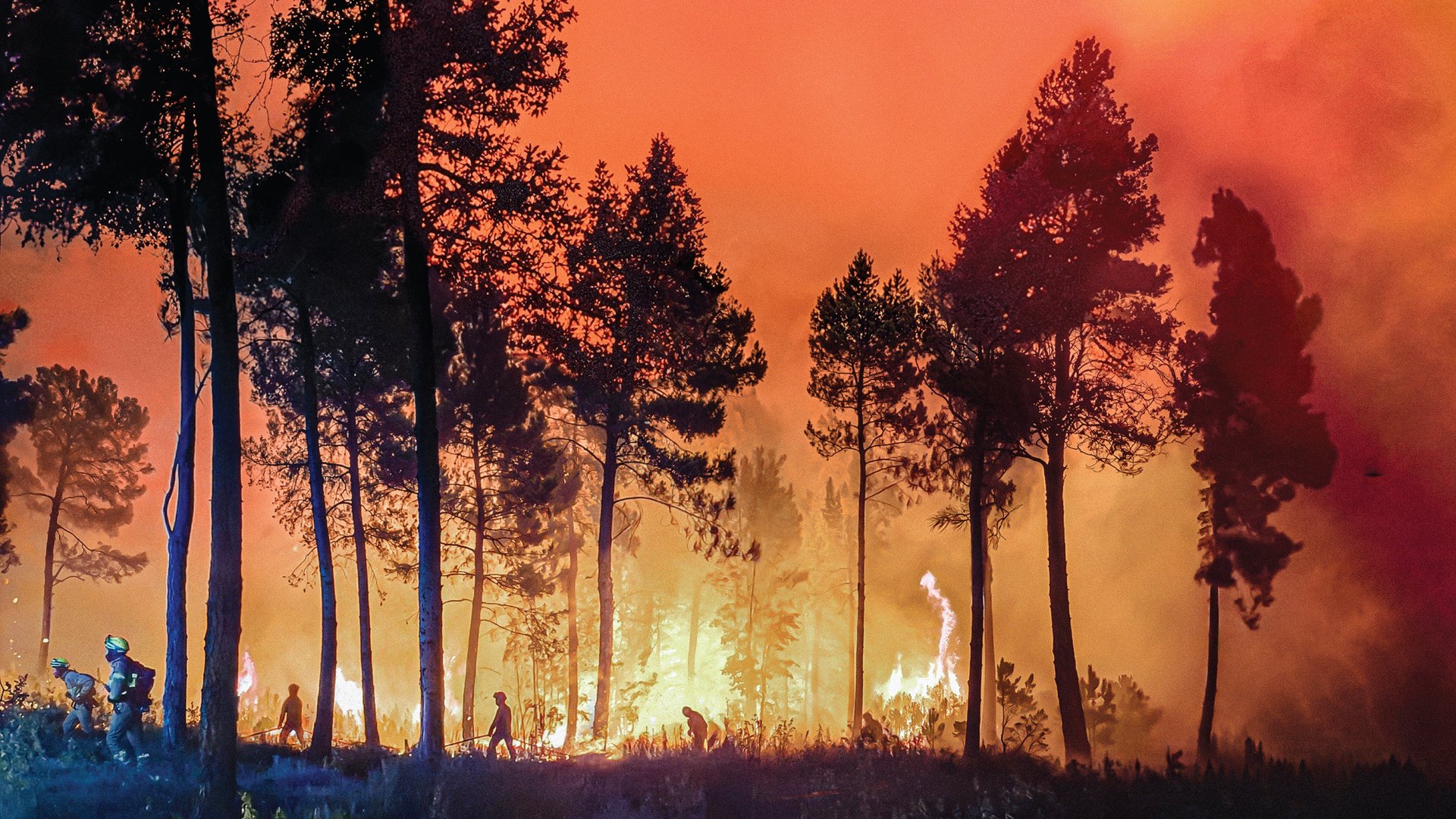 An Europas Feuerfront