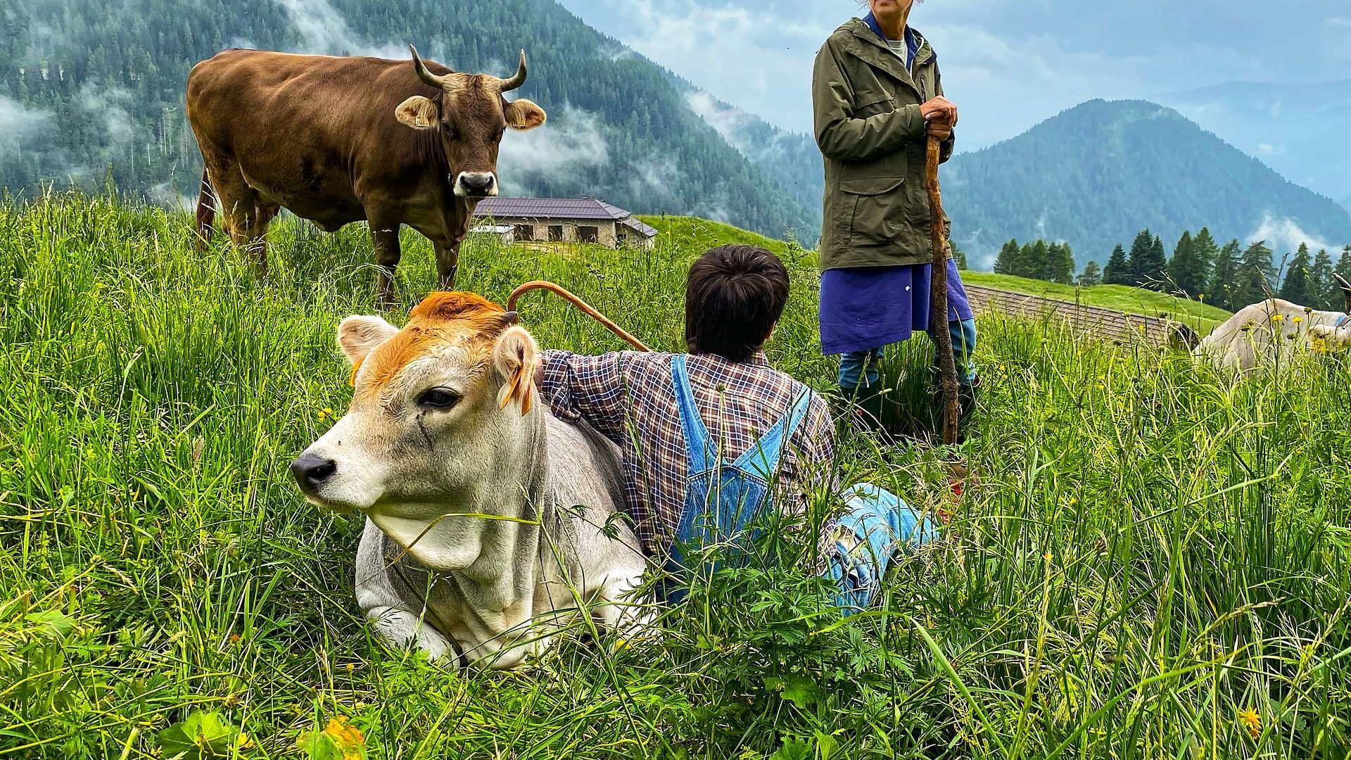 Das Trentino - Naturparadies in Norditalien