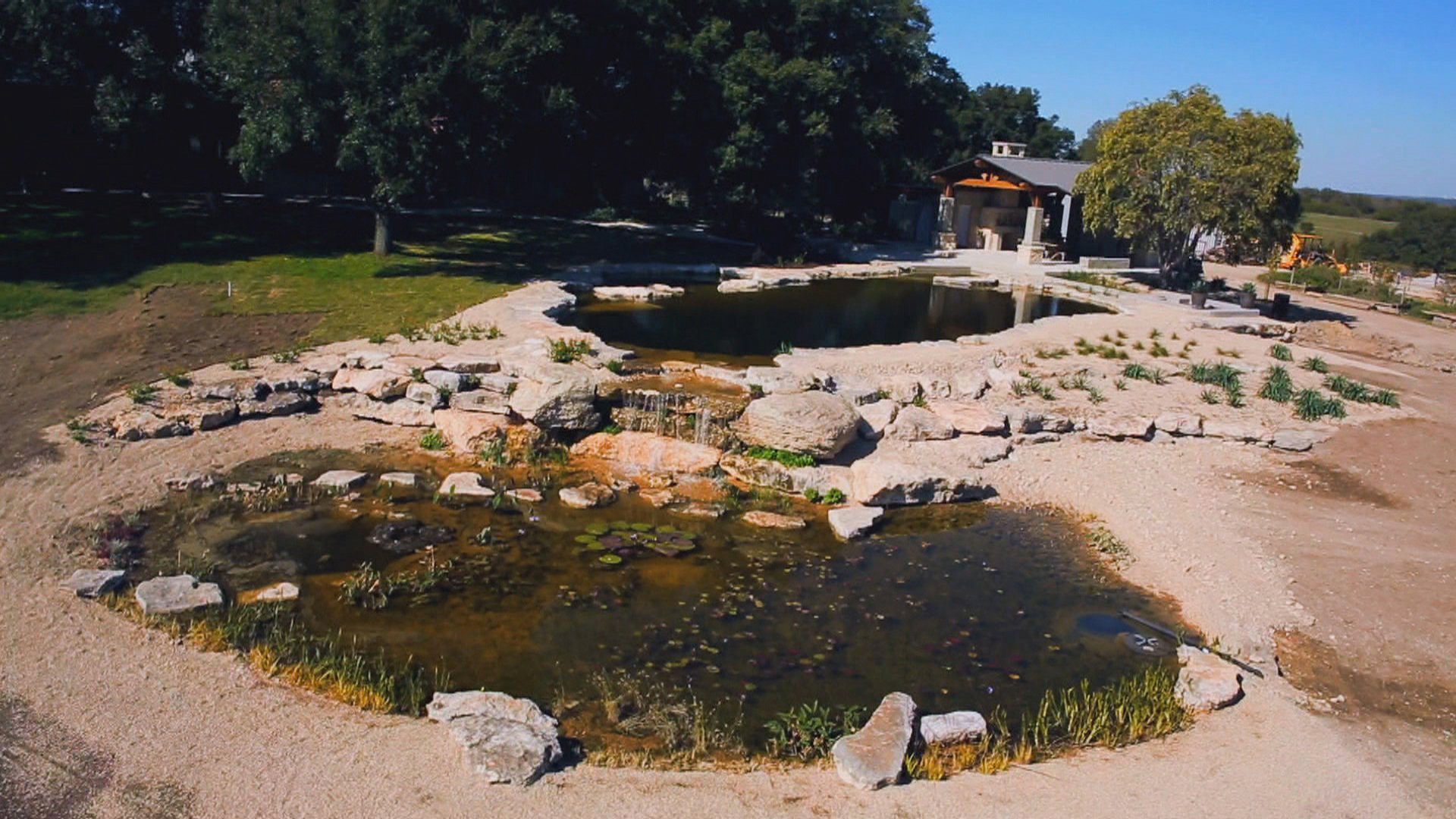 Texas-Sized Pool