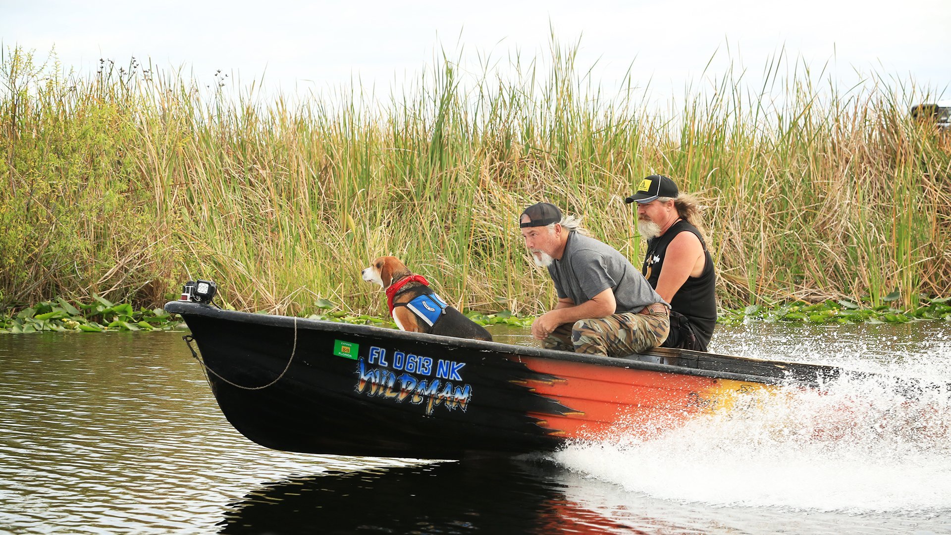 Guardians Of The Glades