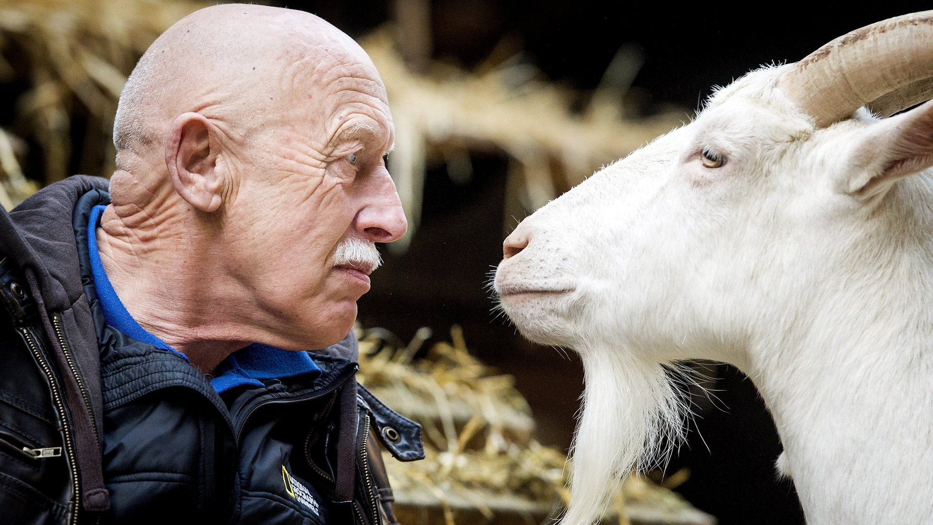 Den Utrolige Dr. Pol: samling