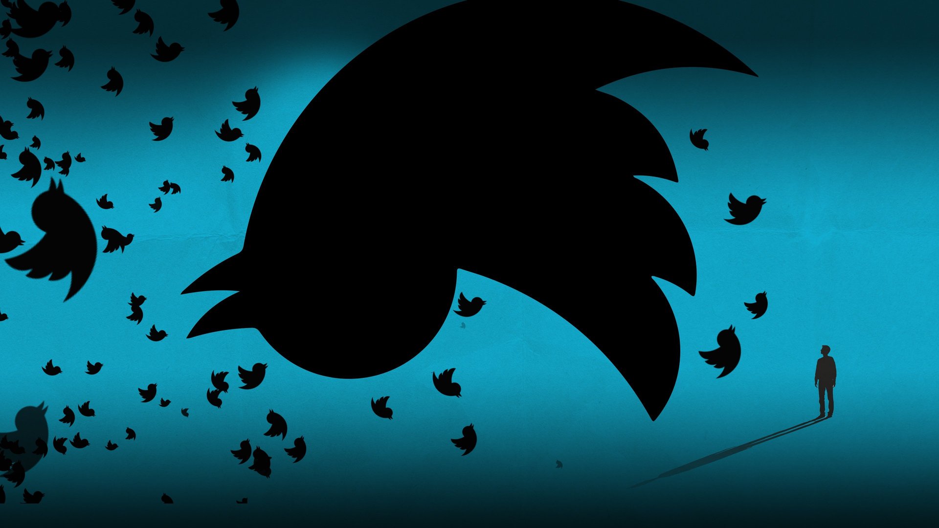 Twitter: Breaking the Bird