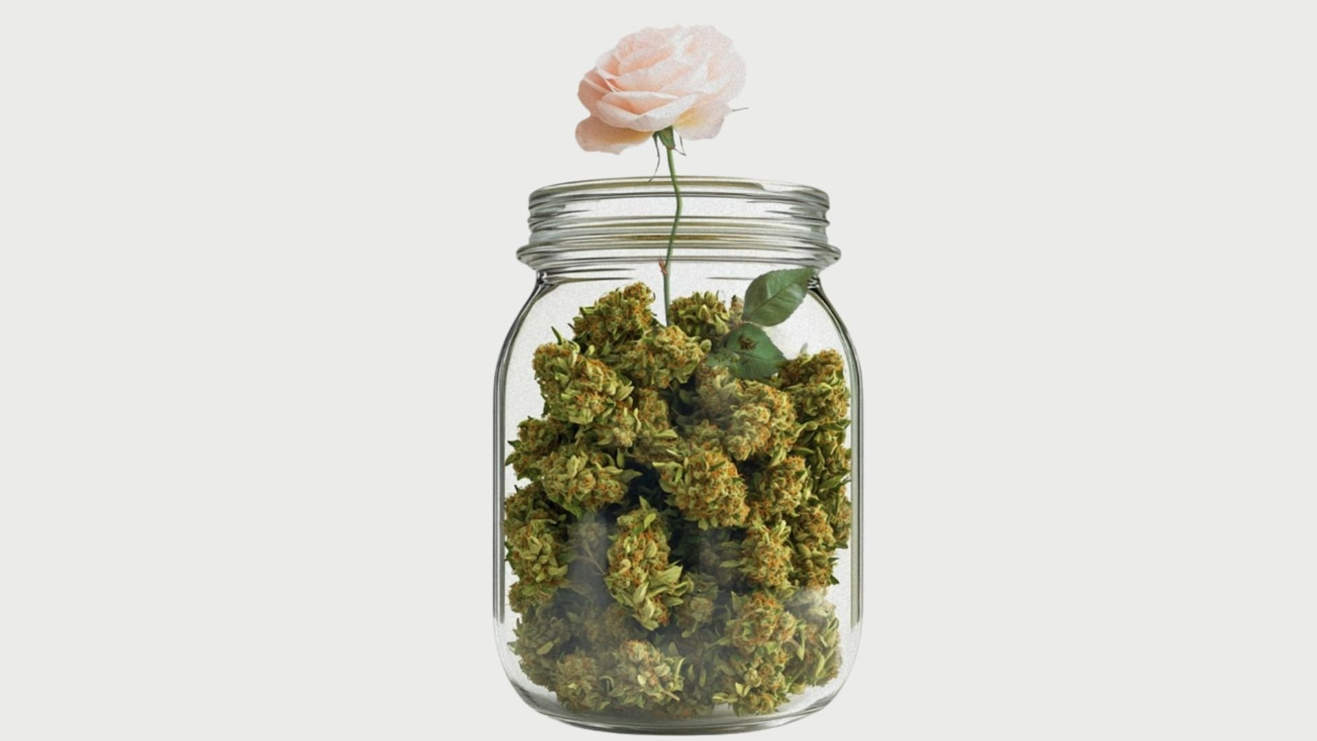 Dr. Sanjay Gupta Reports: Weed 8: Women & Weed