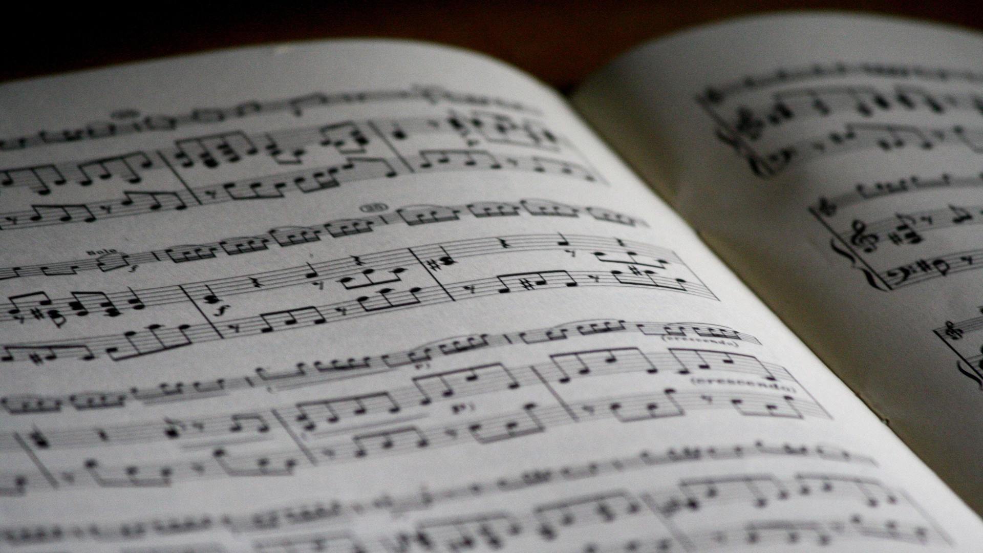 Der Wanderer (arr. Liszt)