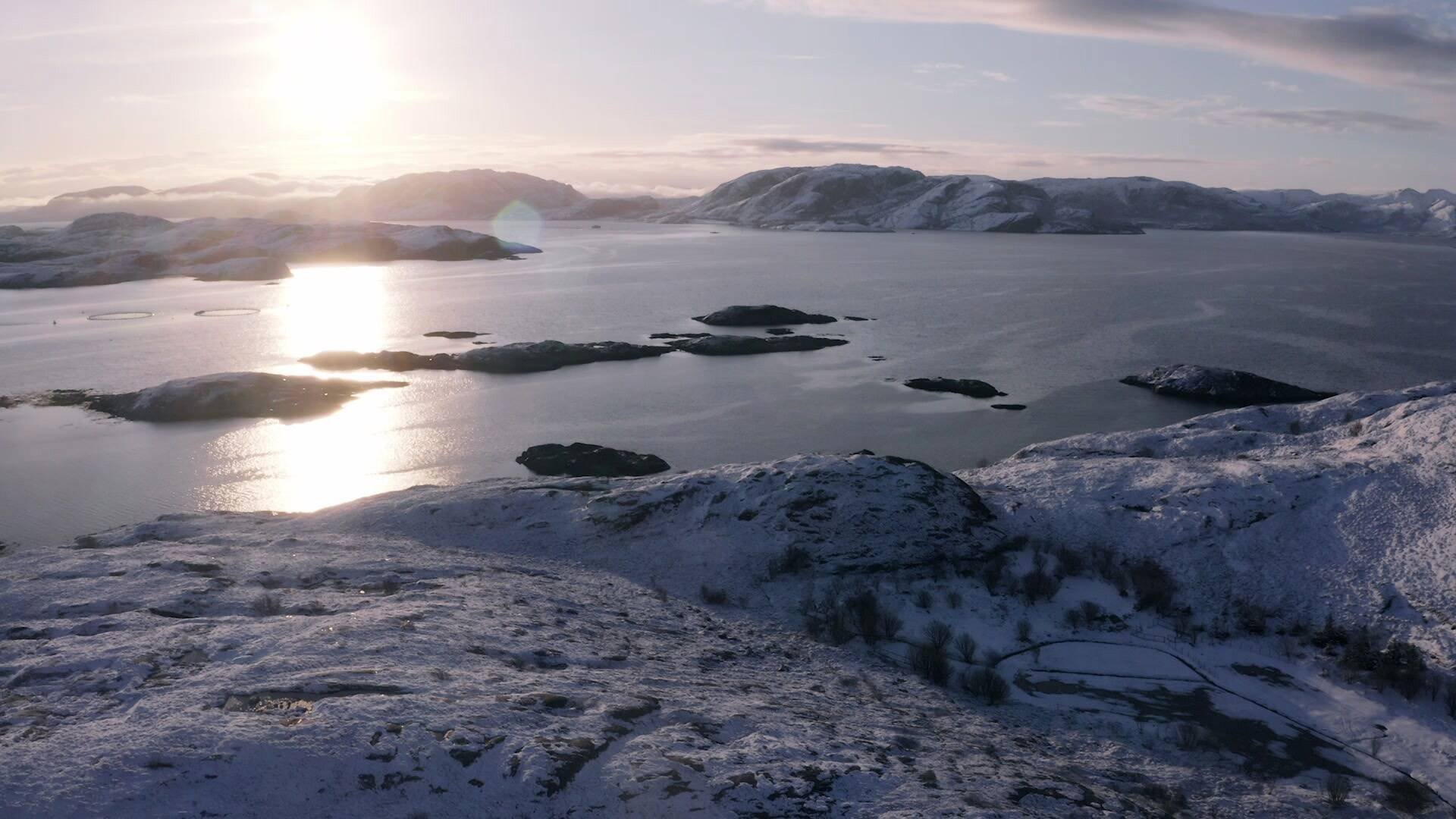 Hvor ingen skulle tro, at nogen kunne bo: Forår