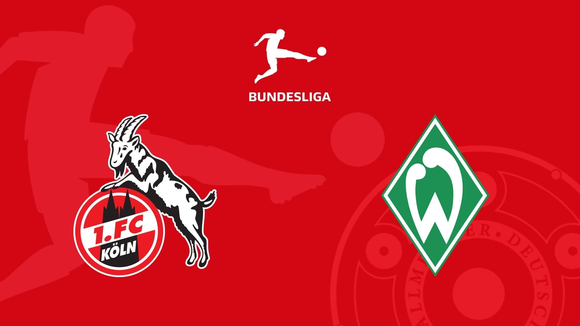 Bundesliga Fodbold: FC Köln - Werder Bremen
