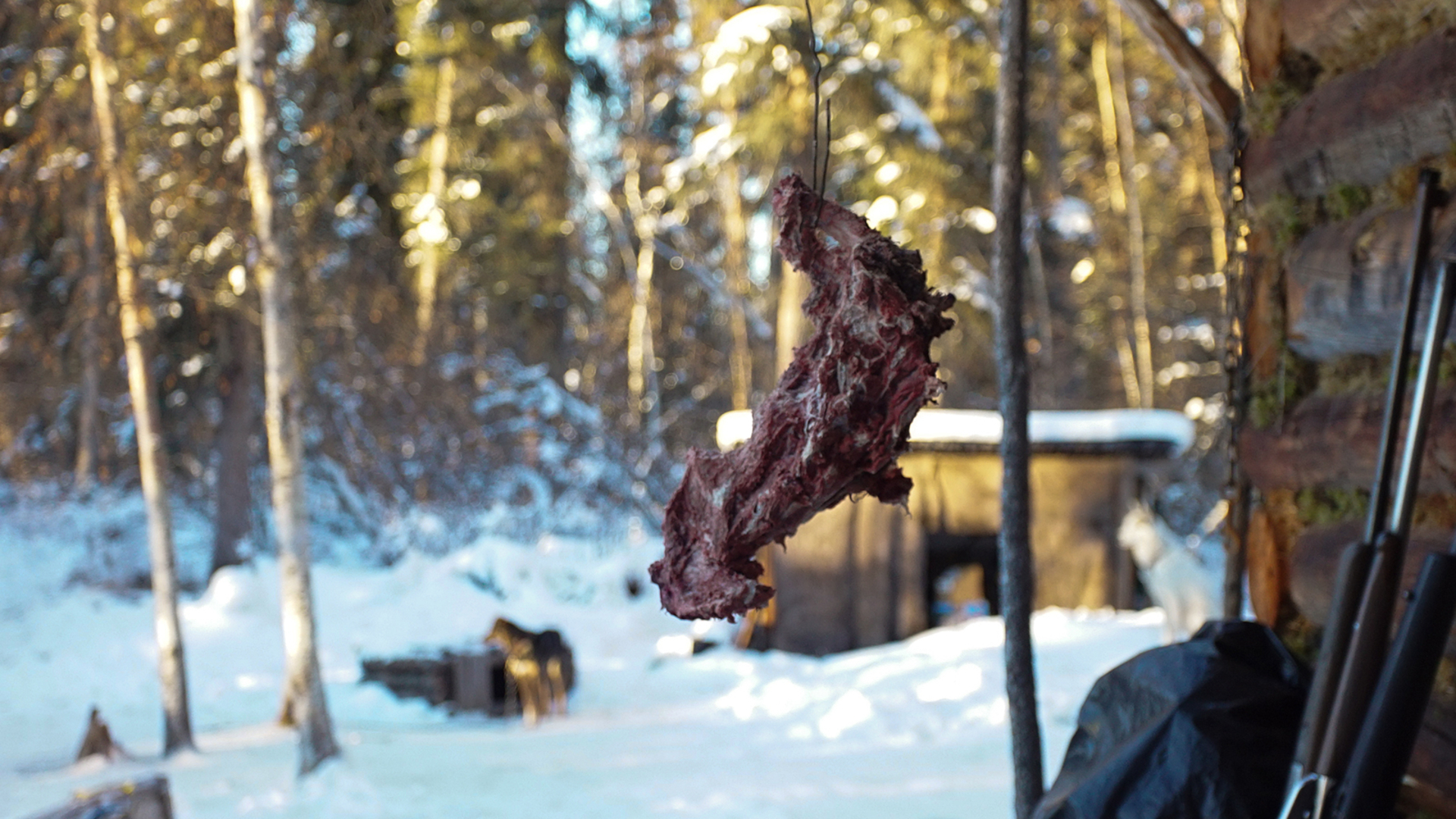 The Last Alaskans