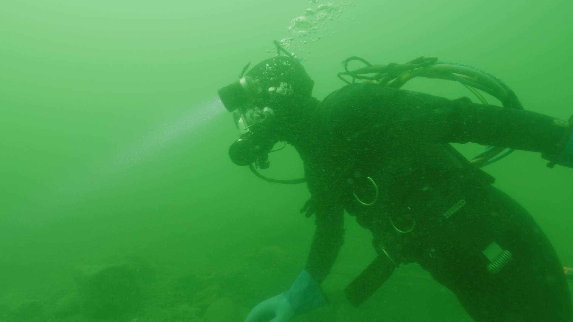Gold Divers