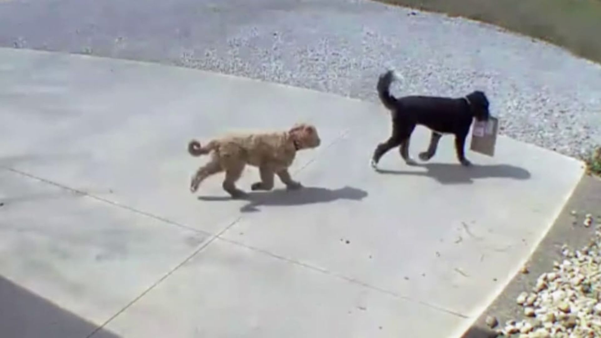 Neighborhood Wars