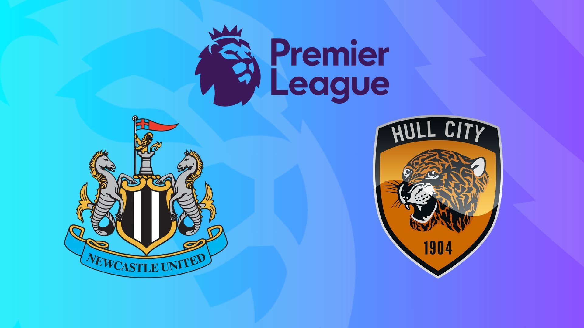 Premier League: Newcastle - Hull