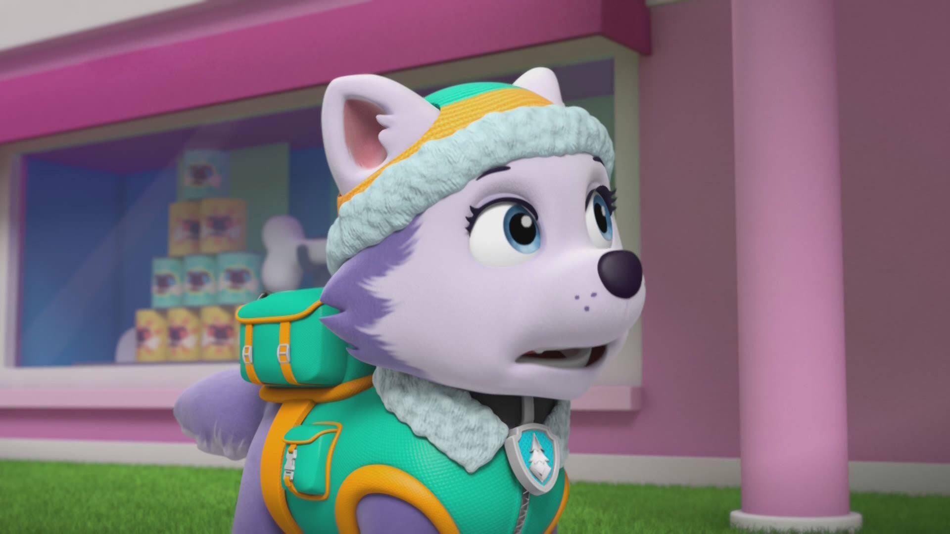 Paw Patrol