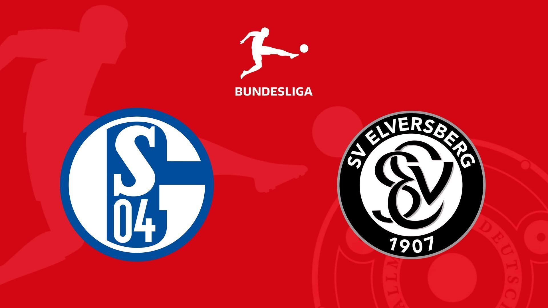Bundesliga Fodbold: Schalke 04 - Elversberg