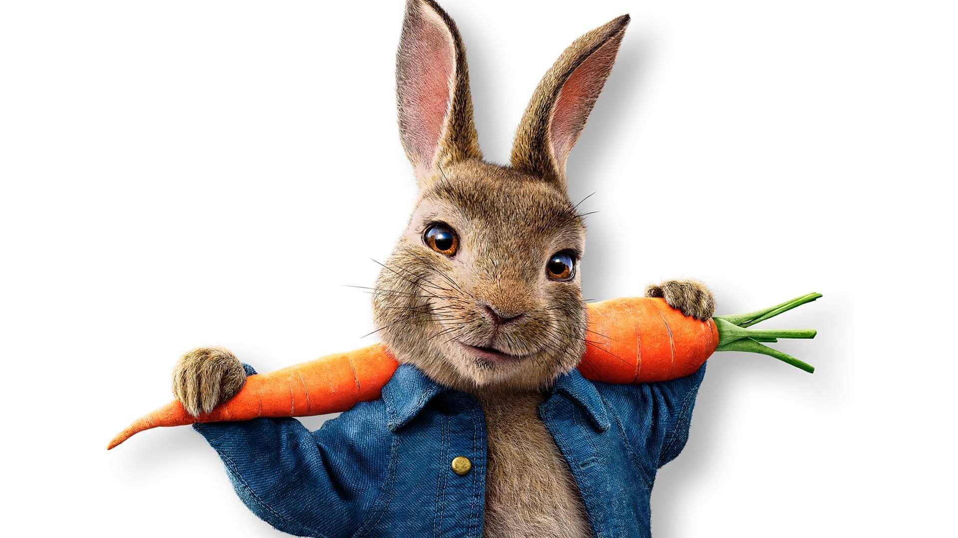 Peter Hase 2 - Ein Hase macht sich vom Acker