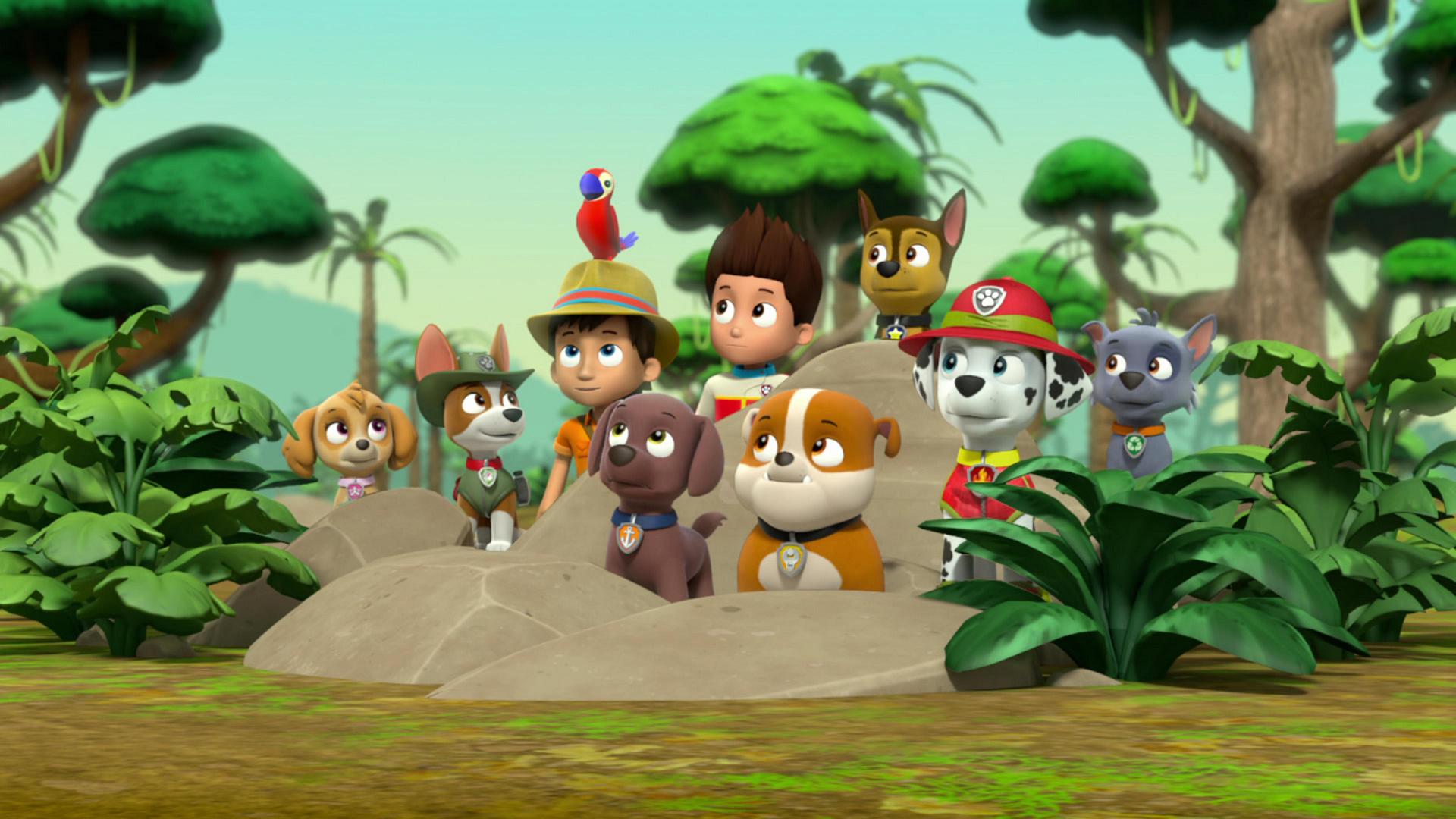 Paw Patrol