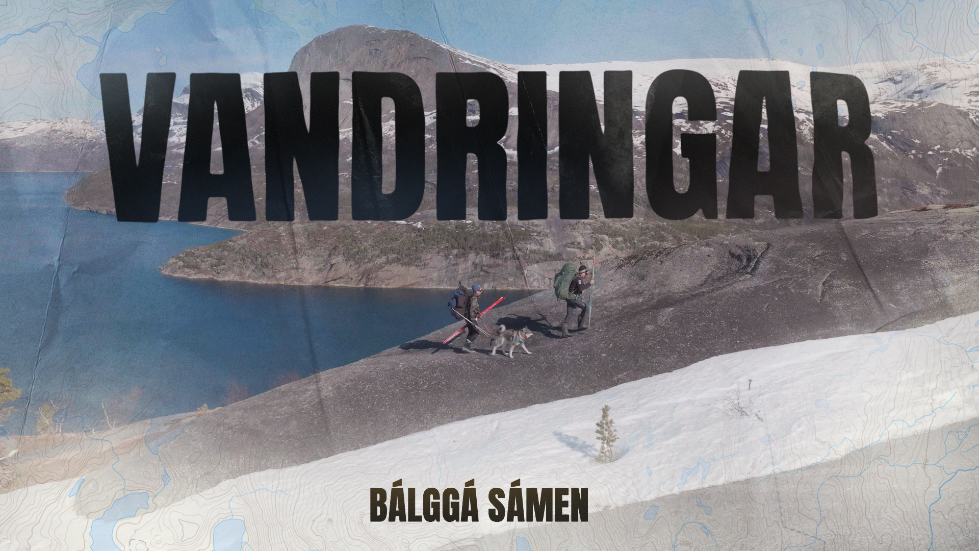 Vandringer