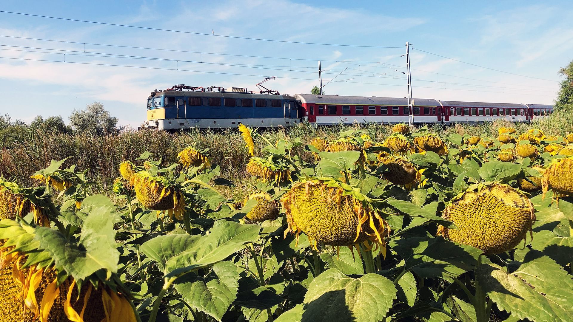 Mit dem Zug durch Ungarn