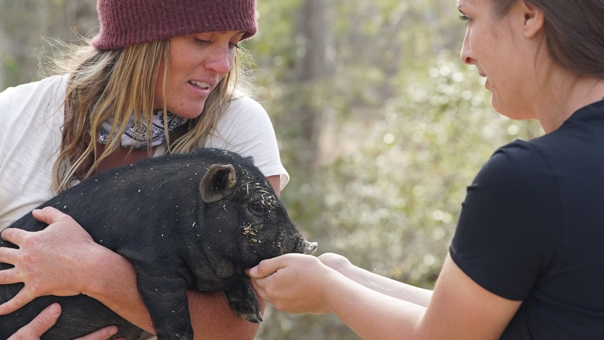 Homestead Rescue