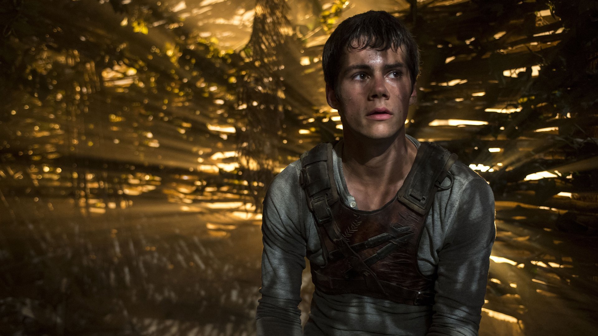 The Maze Runner