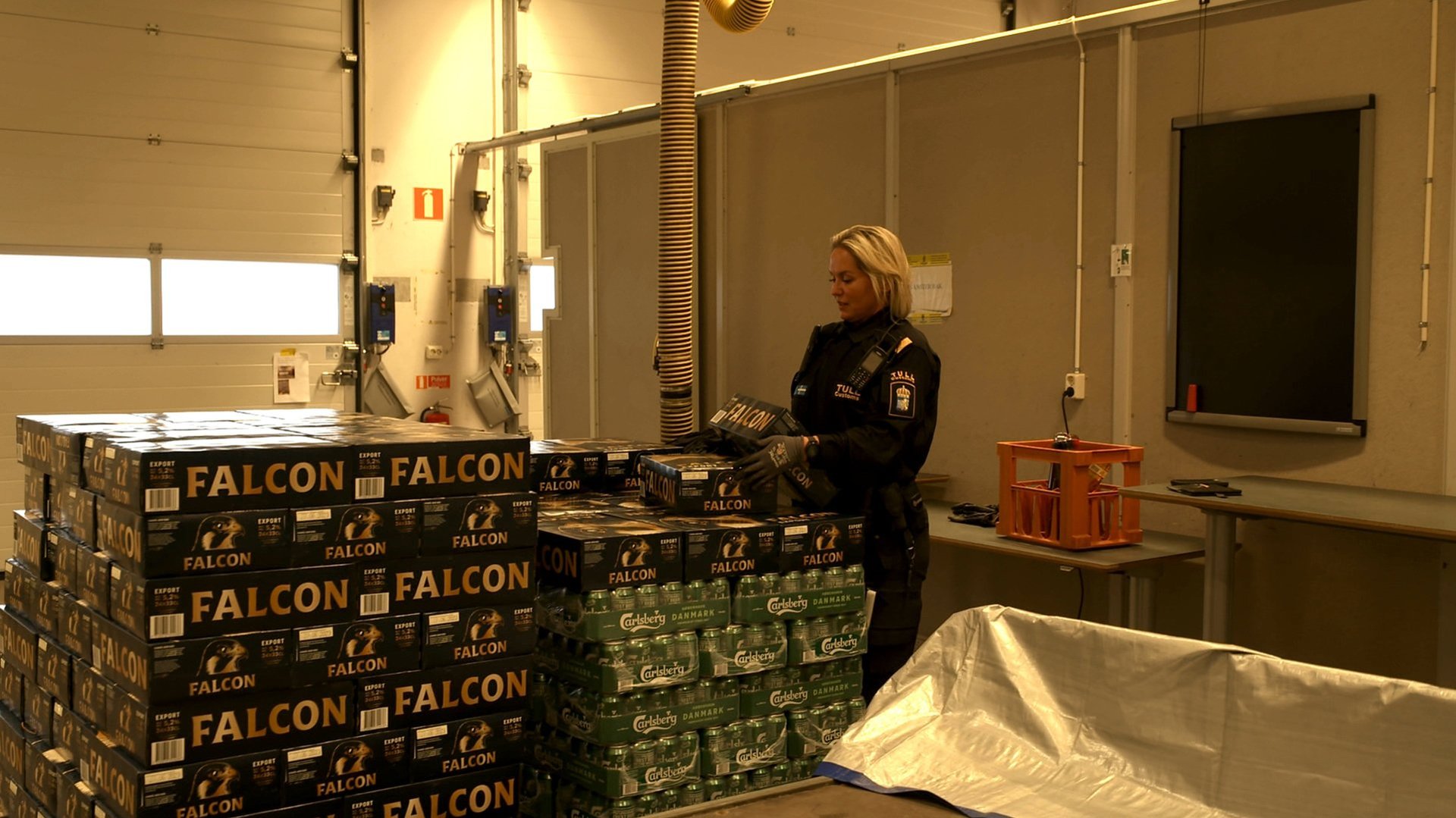 Border Control: Sweden