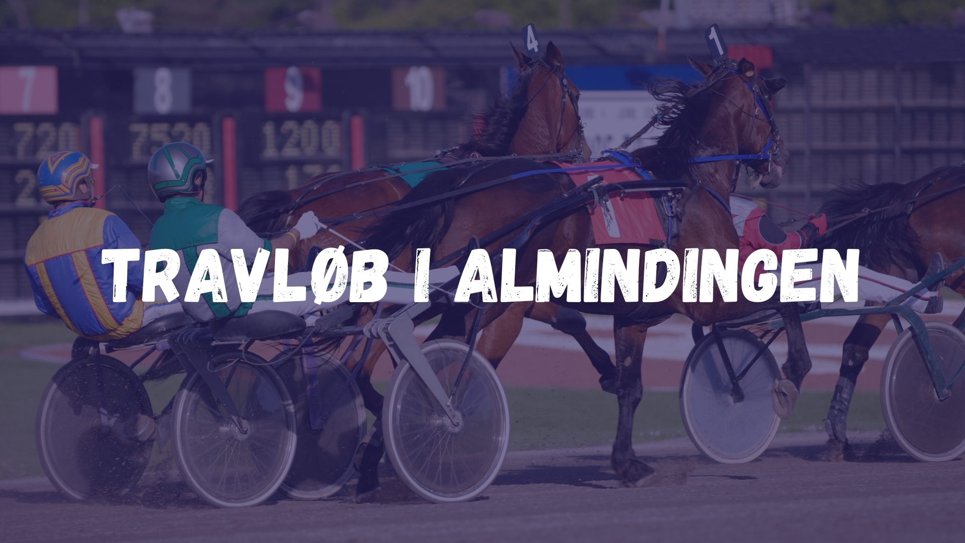 Travløb i Almindingen
