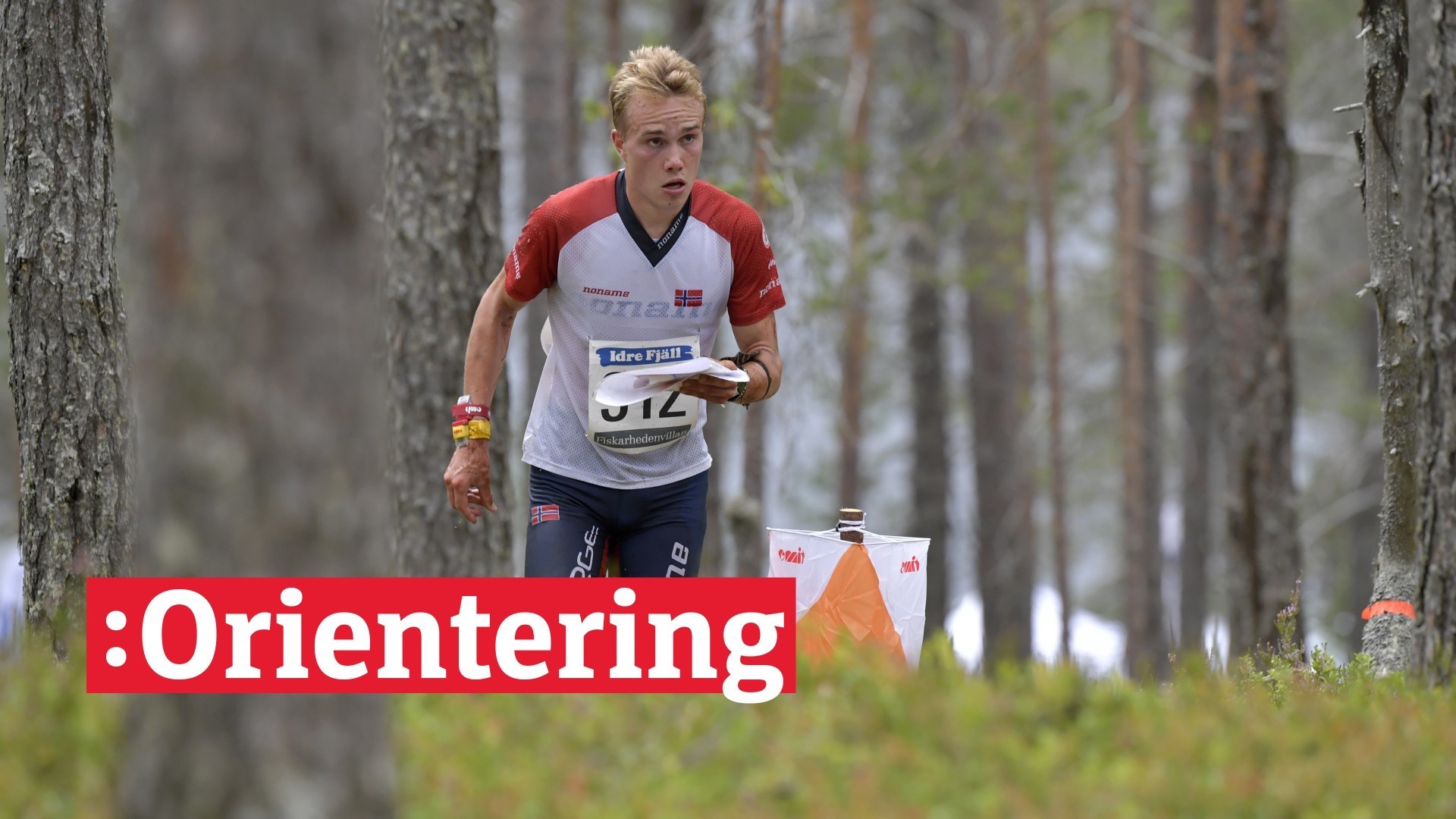 EM i orientering