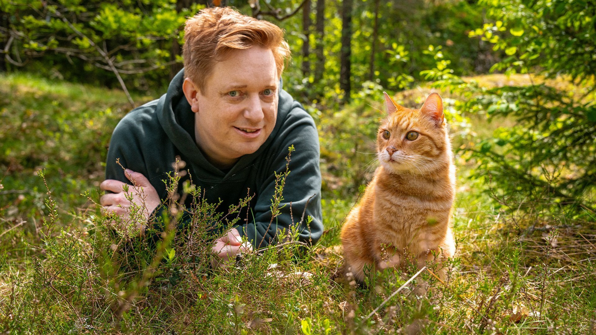 Luffar-Lasse - Sveriges mest berømte kat