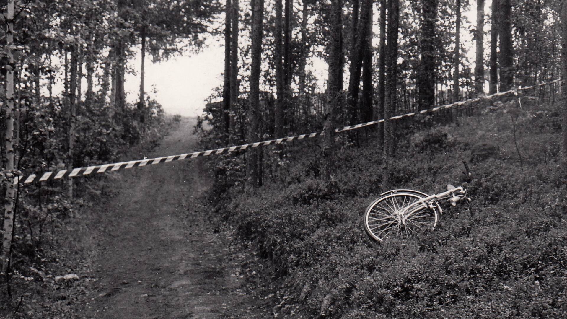 Mordene i Åmsele