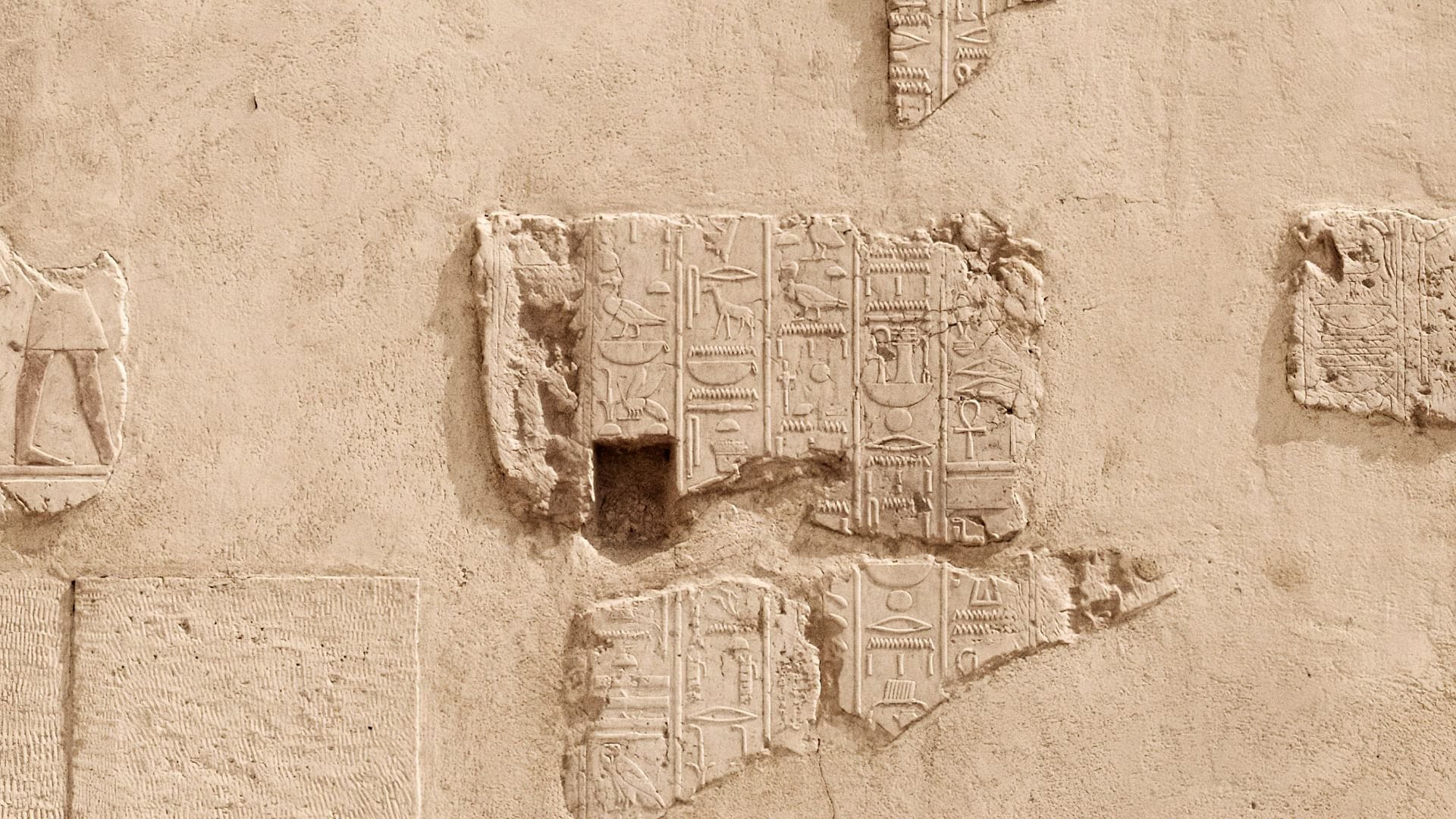 Von Menschen und Giraffen - Eine Betrachtung