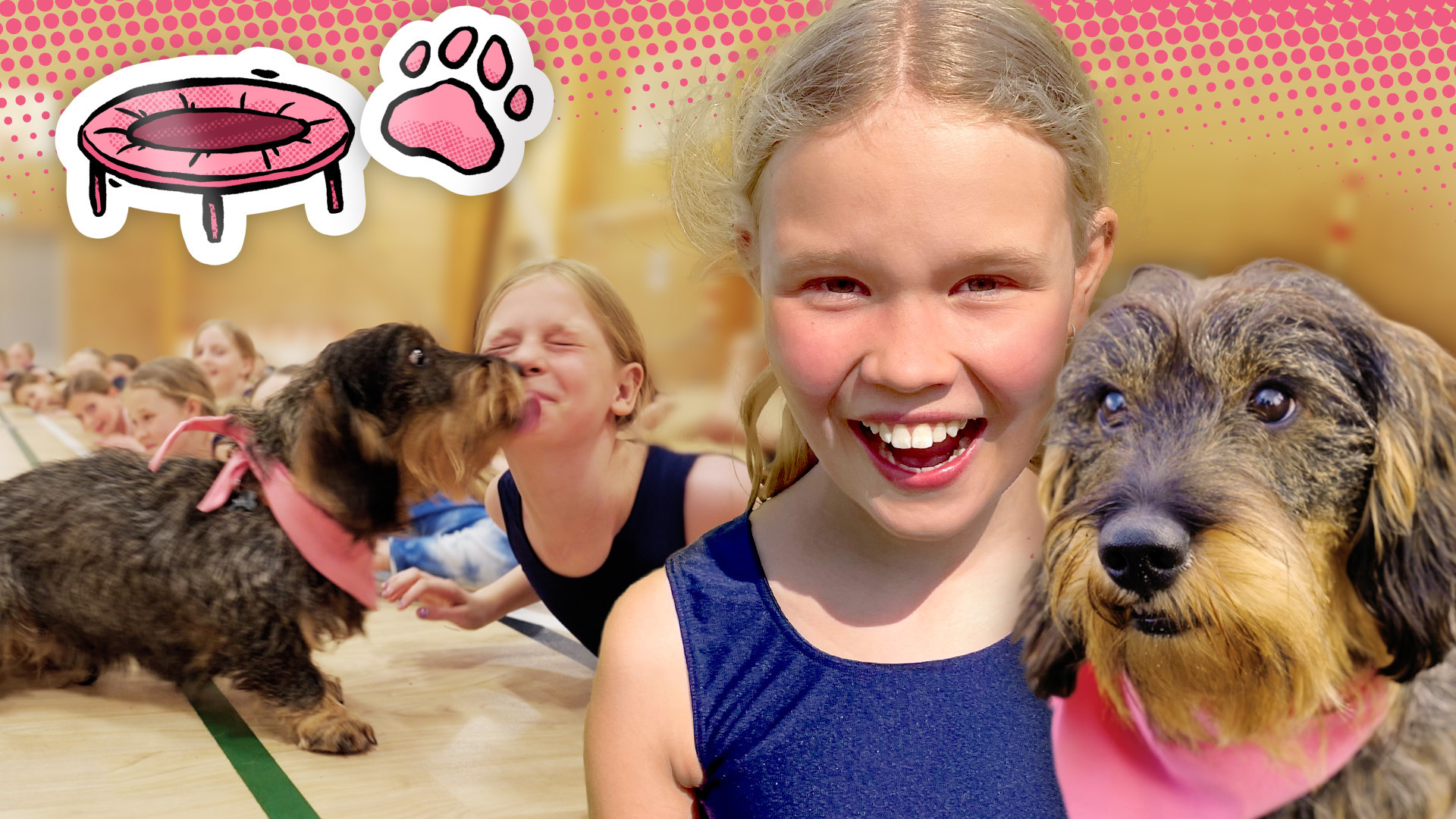 HundeBanden - Messi til gymnastik