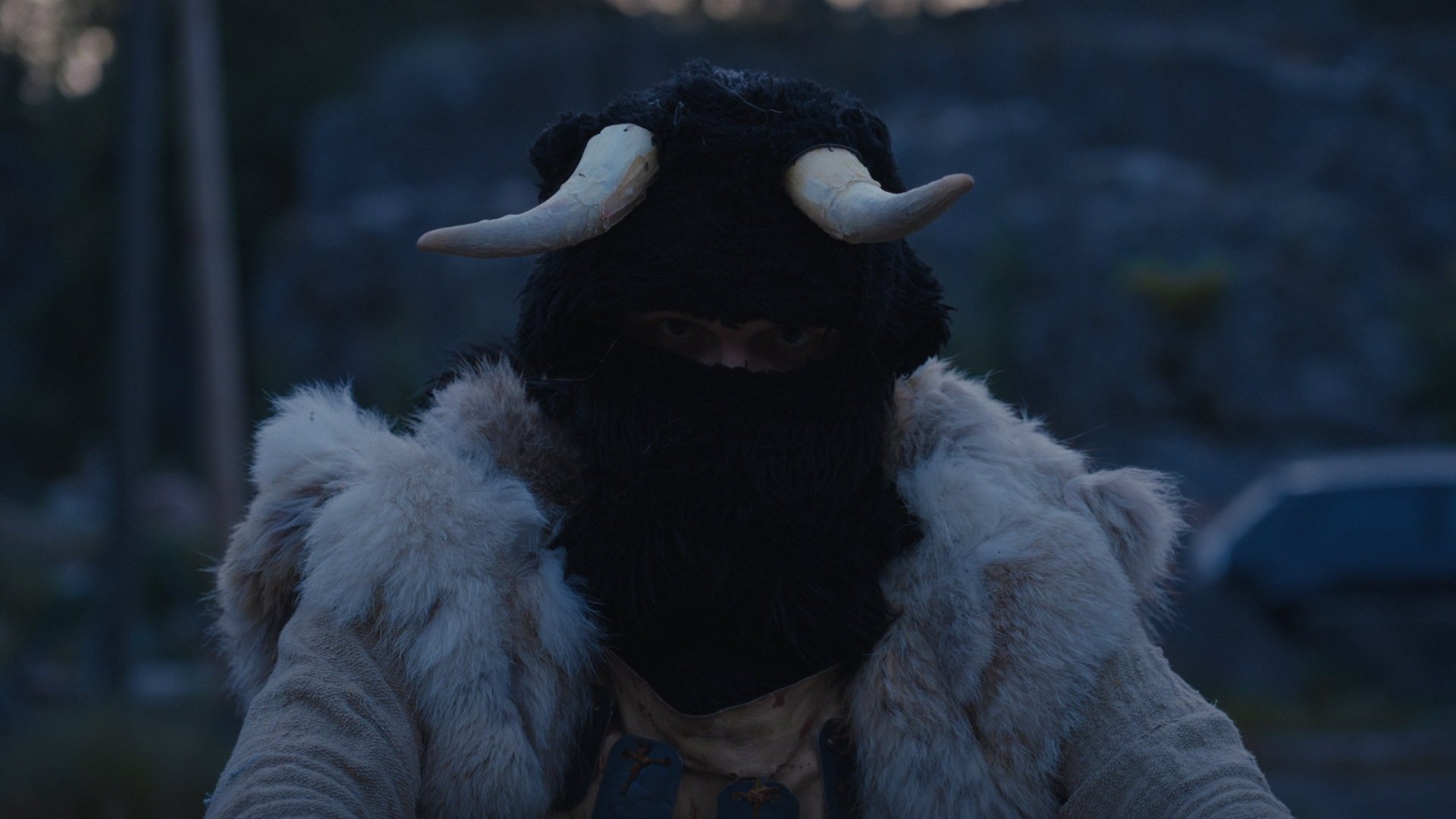 Bock-sagaen