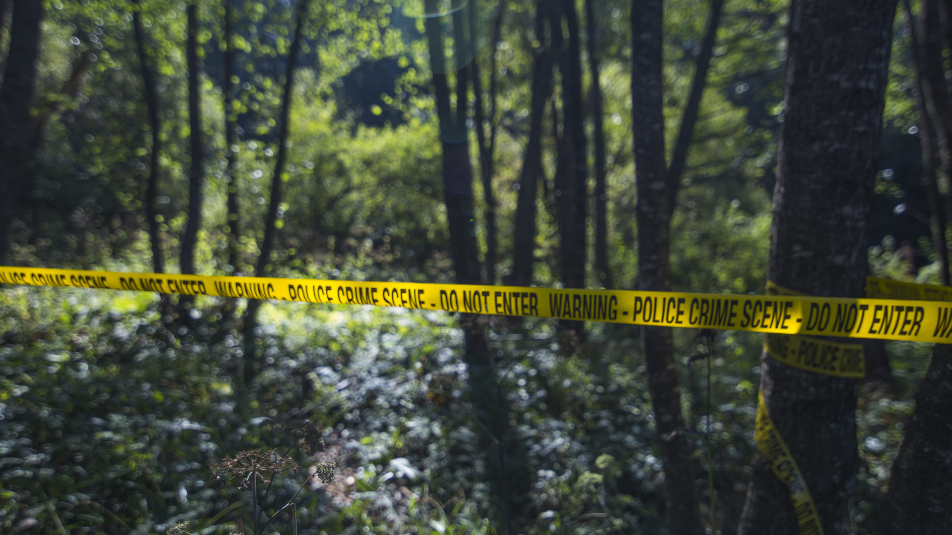 Extreme Forensics