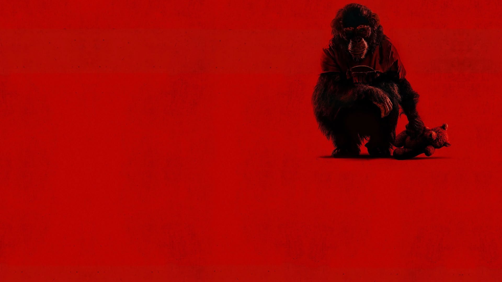 Primate