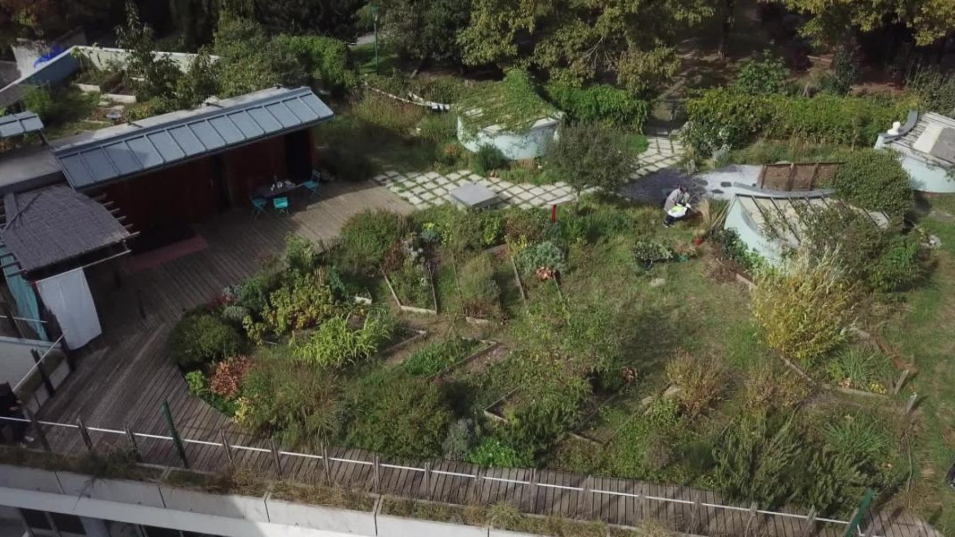 Elles plantent, plantons