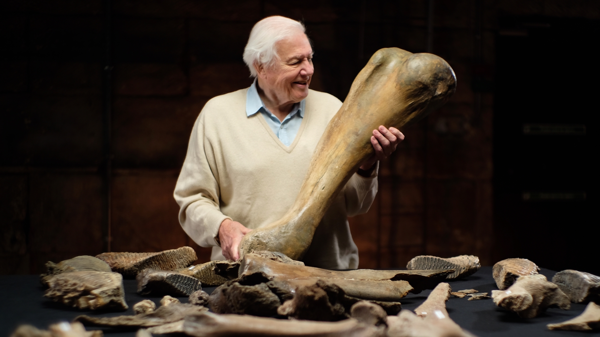 Attenborough og den begravede mammut