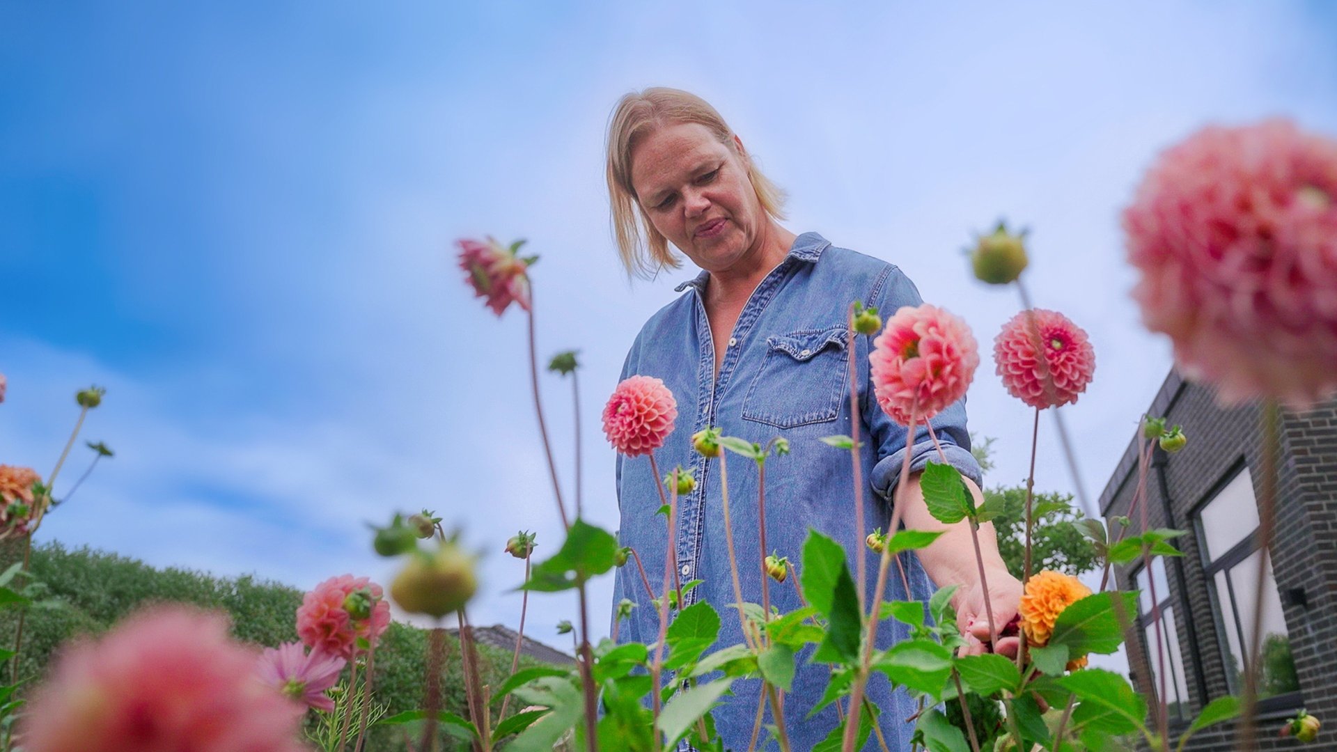 Med stjålne blomster fra berømt have - Herlige haver (S2:E3)