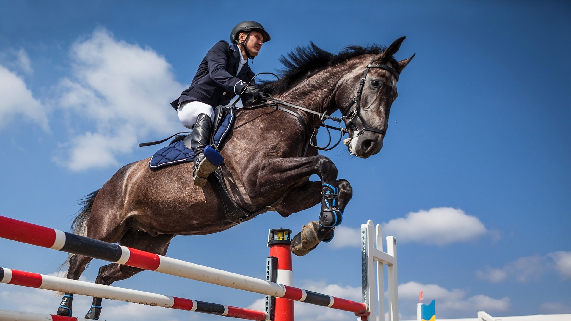 Jumping International De Dinard