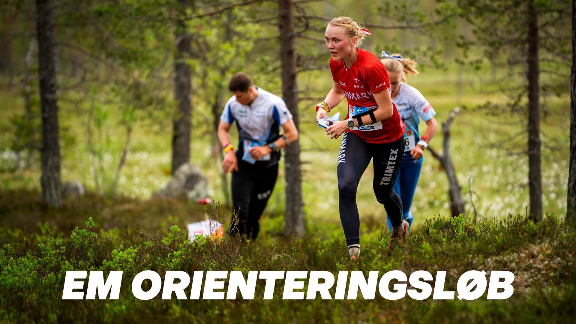 EM orienteringsløb: Mellemdistance, direkte