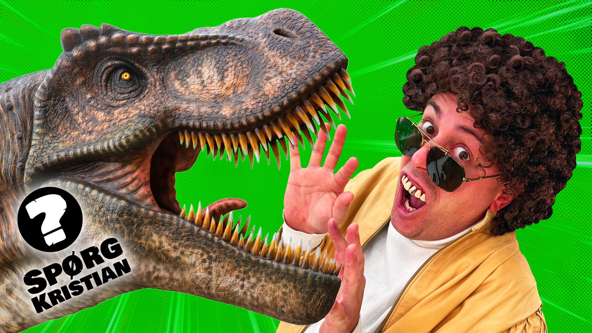 Spørg Kristian - Hvordan døde dinosaurerne?
